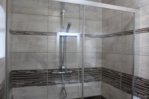 a shower with a glass door in a bathroom at Relax pension Schonwald in Budišov nad Budišovkou