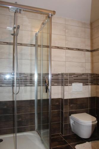 a bathroom with a shower and a toilet at Relax pension Schonwald in Budišov nad Budišovkou
