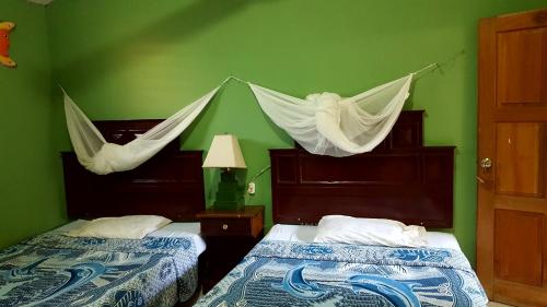 2 Betten in einem grünen Zimmer mit Hängematten darüber in der Unterkunft Guest house Posada Ixchel in El Remate