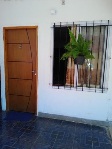 una planta en una ventana junto a una puerta en Habitación Corazón de Iguazú en Puerto Iguazú