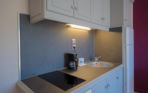 a kitchen counter with a coffee maker and a sink at Appart Hotel Lou Castelet in Carros