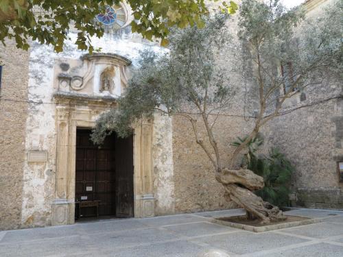 a tree in front of a building with a door at Heart of Pollensa in Pollença