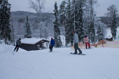 a group of people on snowboards in the snow at Kempings Ozolkalns in Cēsis