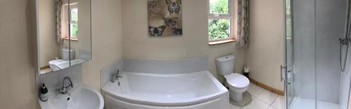 y baño blanco con aseo y ducha. en Glendona Cottage, en Crumlin