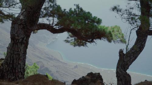 two trees with a mountain in the background at Sur Restinga in La Restinga