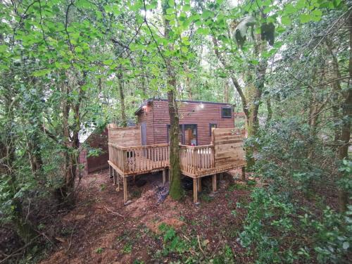 a tree house in the middle of the woods at Tiny House-Hot Tub-St Clears-Pembrokeshire-Tenby in Carmarthen