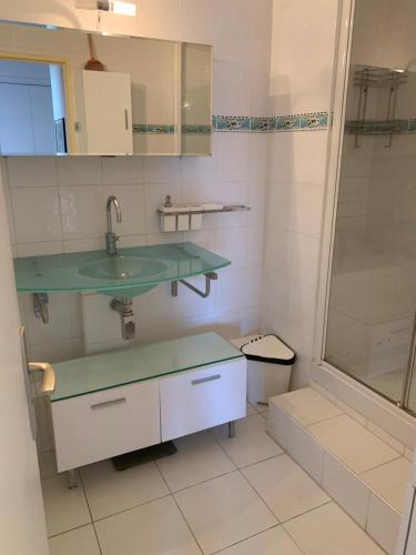 La salle de bains est pourvue d'un lavabo et d'une douche. dans l'établissement PRADO PLAGE, à Marseille