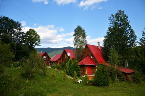 un grupo de casas con techos rojos en un campo en Teremok Guest House, en Vyshka