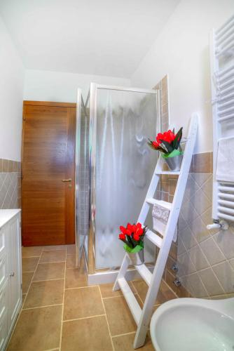 a bathroom with a shower with red flowers on a shelf at Casa Il Glicine a due passi dal centro in Siena