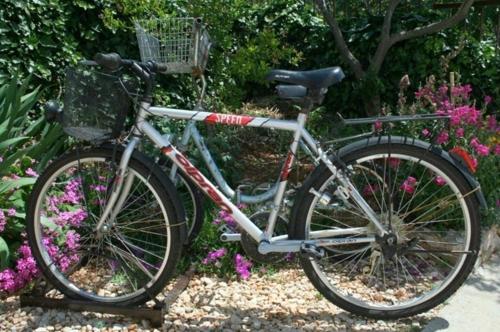 Una bicicleta estacionada frente a unas flores. en Apartments MEDITERRANEO, en Kaprije