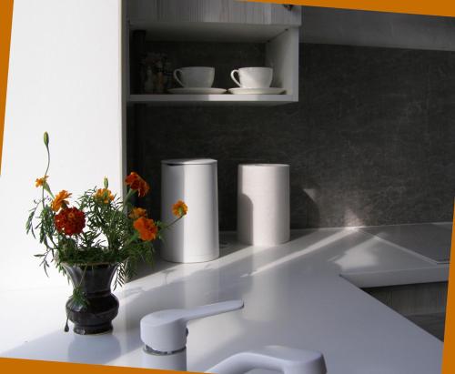 a kitchen with a sink and a vase with flowers at Rusalika in Rivne