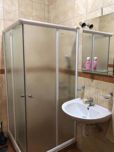een badkamer met een douche en een wastafel bij Vila Zlatarka Nova Varos in Nova Varoš