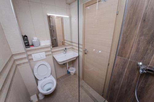 a bathroom with a toilet and a sink and a shower at Apartment Vrutak in Kotor