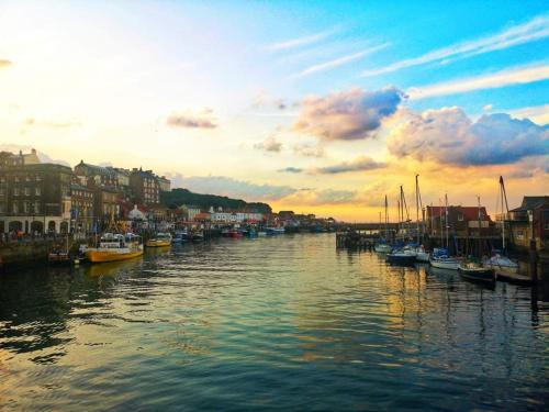 a group of boats are docked in a harbor at Swales cottage in Whitby