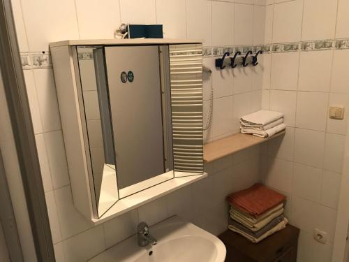 a bathroom with a sink and a mirror at Ferienwohnung Nr.1 in Hollenstein an der Ybbs