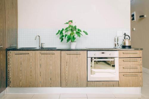 a kitchen with wooden cabinets and a sink and a plant at Eden on the bay 217A-Penthouse in Cape Town