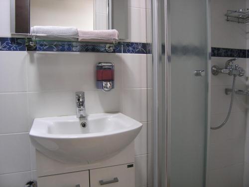 Koupelna v ubytování Apartment Danijela-City Centar
