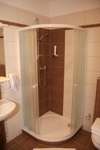 a shower with a glass door in a bathroom at Penzion Na Netřebě in Pardubice