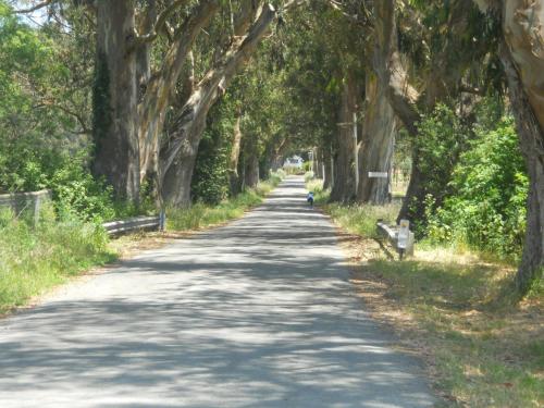 Pescadero Creek Inn – Photos 3
