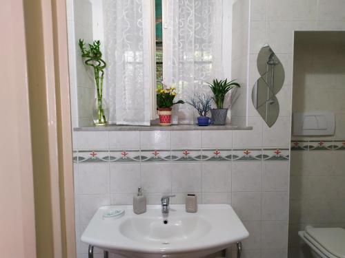 a bathroom with a sink and a window with plants at Da Sara e Paolo in Viareggio