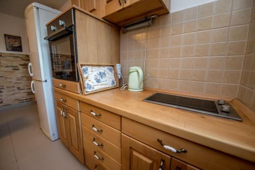 a kitchen with a sink and a refrigerator at Mediteraneo Villa in Kaluđerovići