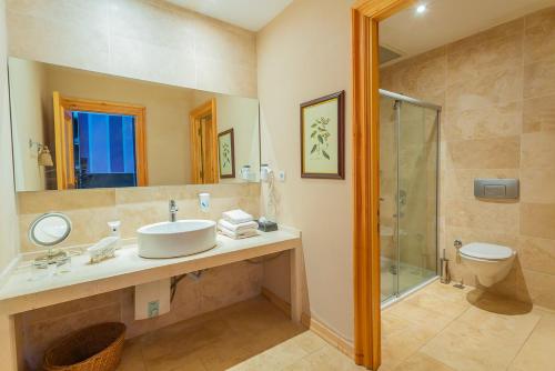 a bathroom with a sink and a shower and a toilet at Villa Estet Bağ Hotel in Kula