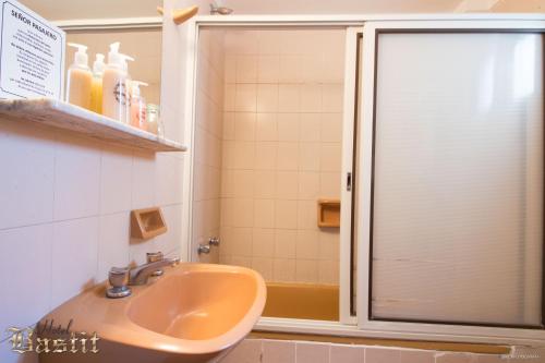 a bathroom with a sink and a shower at Hotel Bastit in Mar del Plata