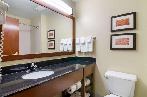a bathroom with a sink and a toilet and a mirror at Comfort Inn & Suites Hutchinson in Hutchinson