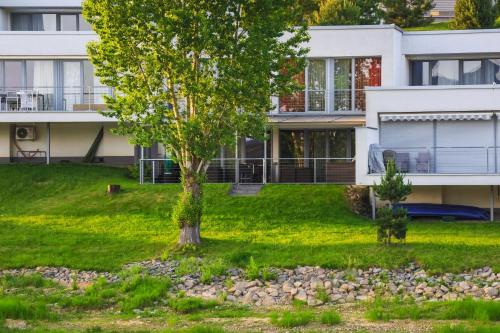 a house with a tree in front of it at Słoneczny Cypel in Gródek Nad Dunajcem