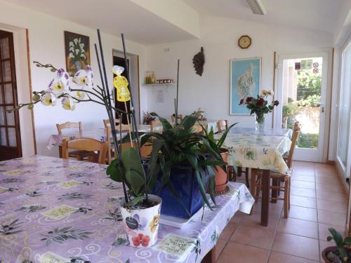 a dining room with a table with a potted plant on it at Chambre d hôtes chez raymonde et sandrine in Luri