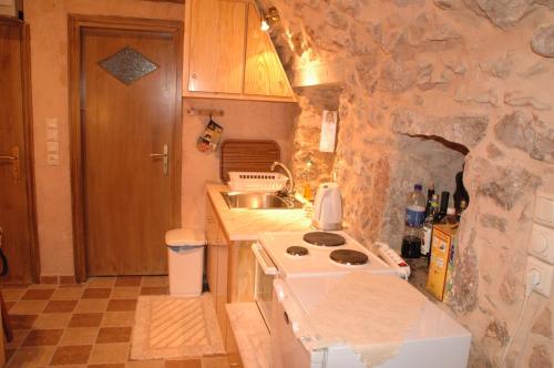 una pequeña cocina con fogones y fregadero en Stoneapartments, Γ ΚΩΣΤΑΛΟΣ ΚΑΙ ΣΙΑ ΟΕ en Avgonyma