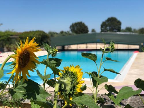 Piscina en o cerca de I Trulli della NaturaBio