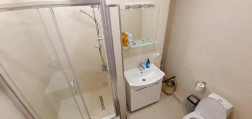 La salle de bains est pourvue d'une douche, de toilettes et d'un lavabo. dans l'établissement Tikas home Апартаменты, à Tbilissi