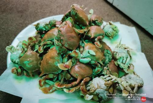 a plate of food with crabs on it at Marang Village Resort in Marang