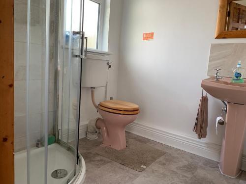 a bathroom with a pink toilet and a sink at Tig Lammax in Macroom