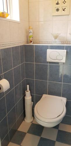 een badkamer met een toilet en een blauwe betegelde muur bij De Zeeuwse Lûûkjes 2 in Baarland