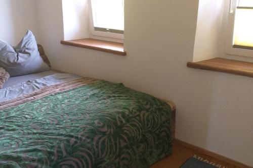 a bedroom with a bed and two windows at Ferienwohnung Bäckerberg in Scharnstein