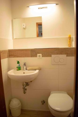 a bathroom with a sink and a toilet and a mirror at Sülfmeister Haus in Lüneburg