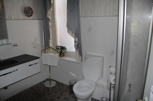 a bathroom with a toilet and a sink at Hotel-Fink in Hamburg