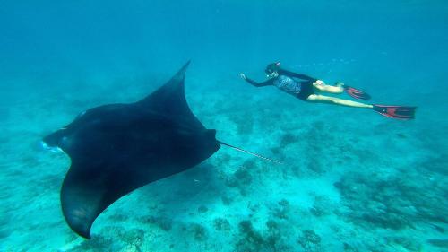 Ospiti di Villa Kudì Maldives Guest House Thulusdhoo