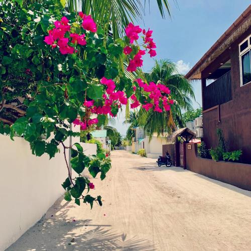 Foto dalla galleria di Villa Kudì Maldives Guest House Thulusdhoo a Thulusdhoo