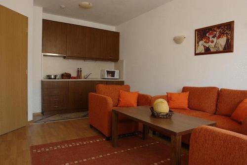 Gallery image of Winslow Elegance Apartments in Bansko