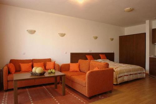 Gallery image of Winslow Elegance Apartments in Bansko