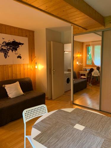 ein Wohnzimmer mit einem Sofa und einem Tisch in der Unterkunft Chamonix Studio Jardin in Chamonix-Mont-Blanc