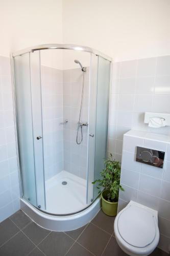 a bathroom with a glass shower with a toilet at Grossmann Ház in Mád