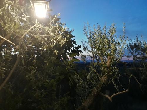 a street light with trees in the foreground at Tenuta Colverano in Montefalco