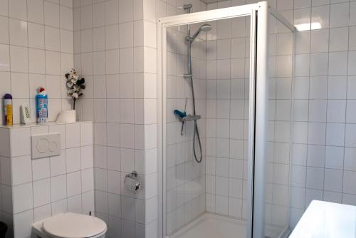 y baño con ducha y aseo. en Huis van Harderwijk, en Harderwijk