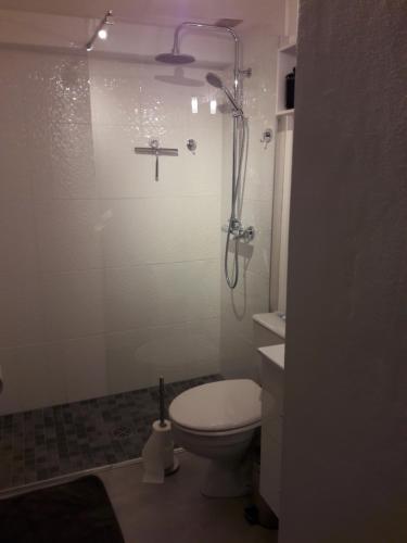 a bathroom with a shower with a toilet and a sink at JOLI MAZET ST TROPEZ in Gassin