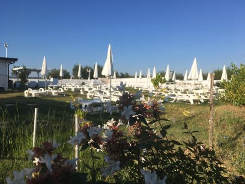 a field of flowers with white sails in the background at Zyra Garden Club in Acquaviva delle Fonti