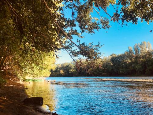 a view of a river with trees in the background at La Rebière d'Or, B&B et Gîte in Mouleydier